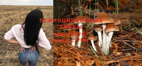 COCAINE Майский