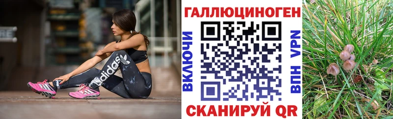 Галлюциногенные грибы Psilocybe  купить   Назрань 
