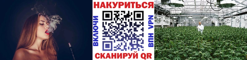 Шишки марихуана White Widow mega как войти Назрань где можно купить